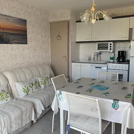 Coquet T2, Balcon Sud, Parking Prive, 400m De La - - Fr-1-482-135 Lejlighed *